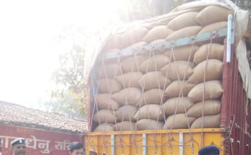 प्रदेश में अब तक एक लाख चार हजार क्विंटल अवैध धान सहित 175 वाहन जब्त