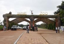 सैलानियों को आकर्षित कर रही एशिया की सबसे बड़ी जंगल सफारी