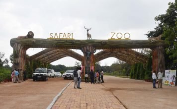 सैलानियों को आकर्षित कर रही एशिया की सबसे बड़ी जंगल सफारी