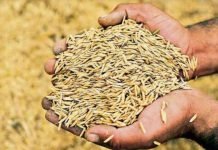 मुख्यमंत्री बघेल सहित मंत्रिमंडलीय समिति कल करेंगें राष्ट्रपति से मुलाकात