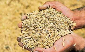 मुख्यमंत्री बघेल सहित मंत्रिमंडलीय समिति कल करेंगें राष्ट्रपति से मुलाकात