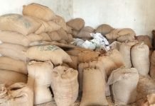 छापामार कार्यवाही में 1903 कट्टा धान जप्त