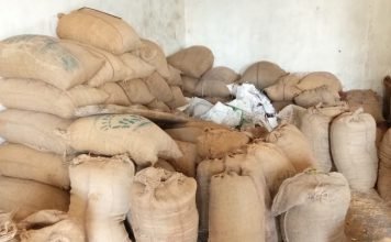 छापामार कार्यवाही में 1903 कट्टा धान जप्त