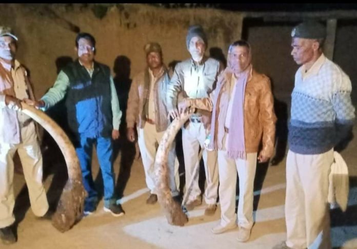 WhatsApp Image 2019-11-20 at 21.04.16