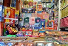 पर्यावरण प्रदूषण को लेकर छत्तीसगढ़ सरकार गंभीर, फटाके फोड़ने को लेकर 60 दिनों तक लगाया प्रतिबंध