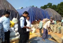 जिले में उपार्जित धान के परिवहन की समस्या नहीं, 81 राइस मिलर्स द्वारा धान उठाव किया जा रहा