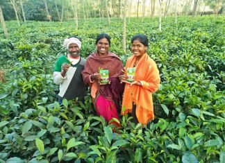 चाय बागान ने समूह की महिलाओं के जीवन में घोली मिठास