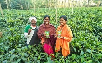 चाय बागान ने समूह की महिलाओं के जीवन में घोली मिठास