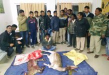 रात्रि गश्त में पकड़ाए चीतल मारने वाले आरोपी