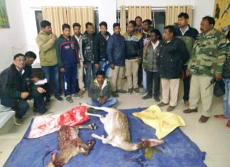 रात्रि गश्त में पकड़ाए चीतल मारने वाले आरोपी