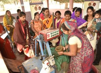 गोबर के गमलों से बढ़ेगी अब घरों की सुन्दरता
