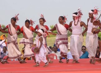 राष्ट्रीय आदिवासी नृत्य महोत्सव गोंड़ों के परम्परागत लोक नृत्य