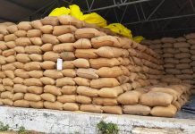 कलेक्टर ने धान खरीदी केन्द्रों का औचक निरीक्षण कर सुनीं किसानों की समस्याएं