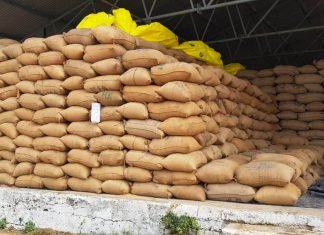 कलेक्टर ने धान खरीदी केन्द्रों का औचक निरीक्षण कर सुनीं किसानों की समस्याएं