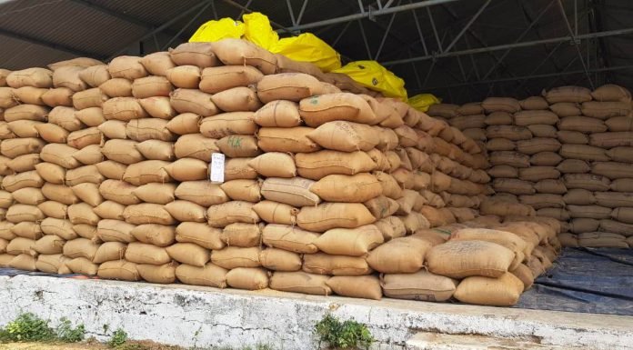 कलेक्टर ने धान खरीदी केन्द्रों का औचक निरीक्षण कर सुनीं किसानों की समस्याएं