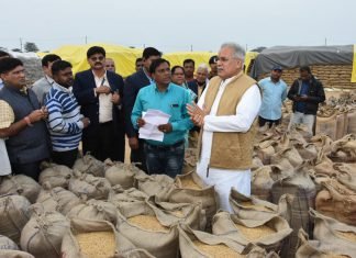मुख्यमंत्री पहुंचे धान खरीदी केंद्र सेलूद, देखी धान की गुणवत्ता