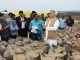 मुख्यमंत्री पहुंचे धान खरीदी केंद्र सेलूद, देखी धान की गुणवत्ता