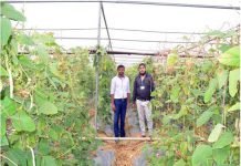 सफलता की कहानी महासमुंद जिले के किसानों को मिल रही सौर ऊर्जा से चलित पम्प,ड्रीप इरीगेशन सिस्टम जैसी सुविधाएं