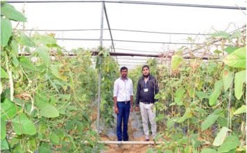 सफलता की कहानी महासमुंद जिले के किसानों को मिल रही सौर ऊर्जा से चलित पम्प,ड्रीप इरीगेशन सिस्टम जैसी सुविधाएं