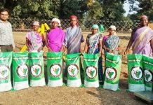 गौठान से बढ़ गई आमदनी, घर खर्च चलाने में हो रही आसानी