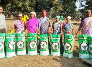 गौठान से बढ़ गई आमदनी, घर खर्च चलाने में हो रही आसानी