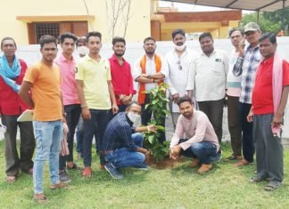 भाजयुमो प्रदेशाध्यक्ष के जन्मदिन पर भाजयुमो कार्यकर्ताओ ने किया वृक्षारोपण