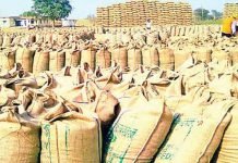 महासमुंद जिले के परसवानी धान खरीदी केंद्र में करोड़ो धान ख़रीदी फर्जीवाड़ा