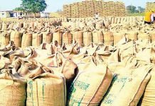 छत्तीसगढ़ निर्माण के बाद अब तक की सबसे बड़ी धान खरीदी,किसानों से 144.92 लाख टन धान की हुई रिकॉर्ड खरीदी