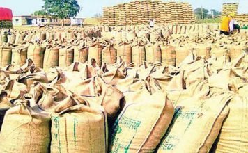 छत्तीसगढ़ निर्माण के बाद अब तक की सबसे बड़ी धान खरीदी,किसानों से 144.92 लाख टन धान की हुई रिकॉर्ड खरीदी