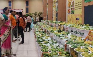 दुनिया के सबसे मंहगे आम ने लोगों को किया आकर्षित