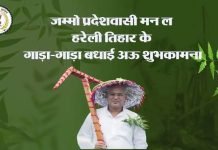 हरेली तिहार है हरियाली का और हरियाली ही तो श्रृंगार है हमारी छत्तीसगढ़ महतारी का