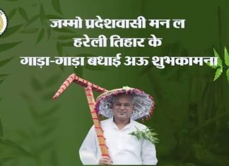 हरेली तिहार है हरियाली का और हरियाली ही तो श्रृंगार है हमारी छत्तीसगढ़ महतारी का