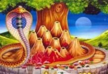 नागपंचमी आज : सातवें सावन सोमवार के साथ बन रहा है खास संयोग, विधि विधान से करें शिव-पार्वती की पूजा, मिलेगा मनवांछित फल