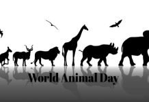 आज का इतिहास 4 अक्टूबर : आज विश्वभर में मनाया जाता है ‘अंतरराष्ट्रीय पशु दिवस’ या वर्ल्ड एनिमल डे