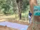 नक्सलियों ने बैनर लगाकर किया चुनाव का बहिष्कार, फोर्स अलर्ट मोड पर
